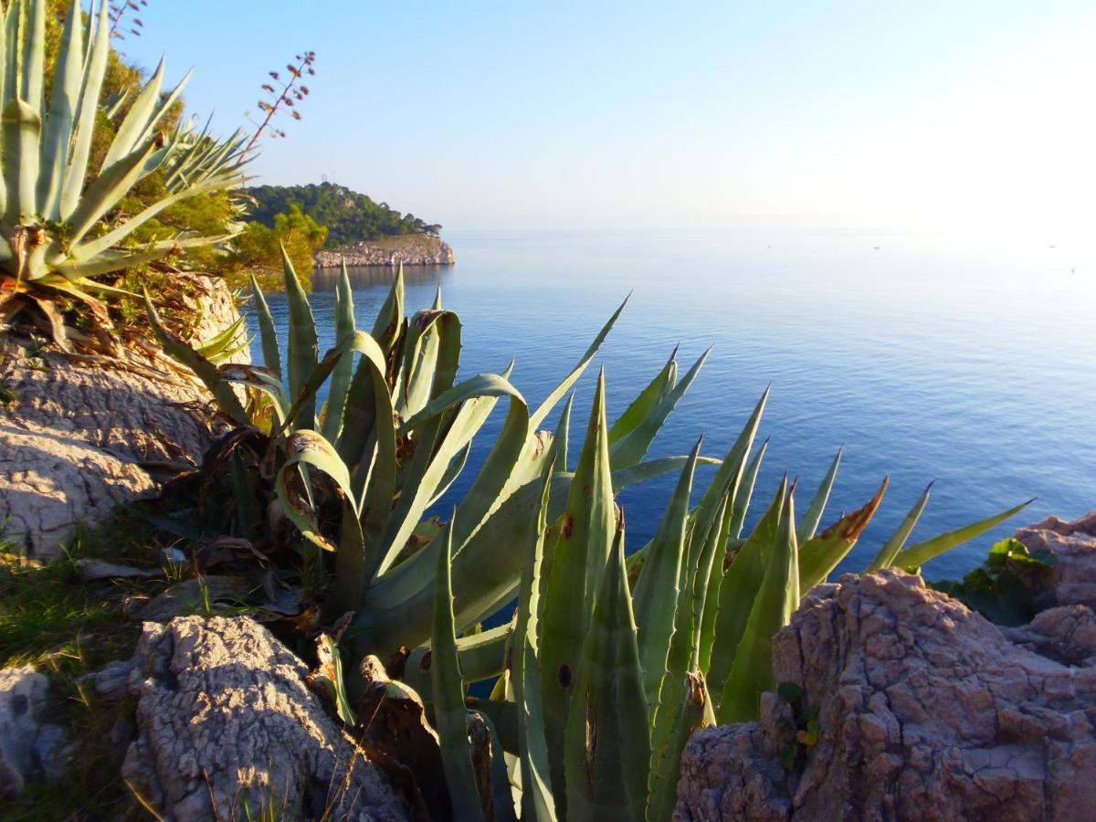 Apartment Burich Makarska Esterno foto